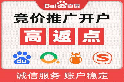 成功案例：网络推广与竞价广告的完美结合